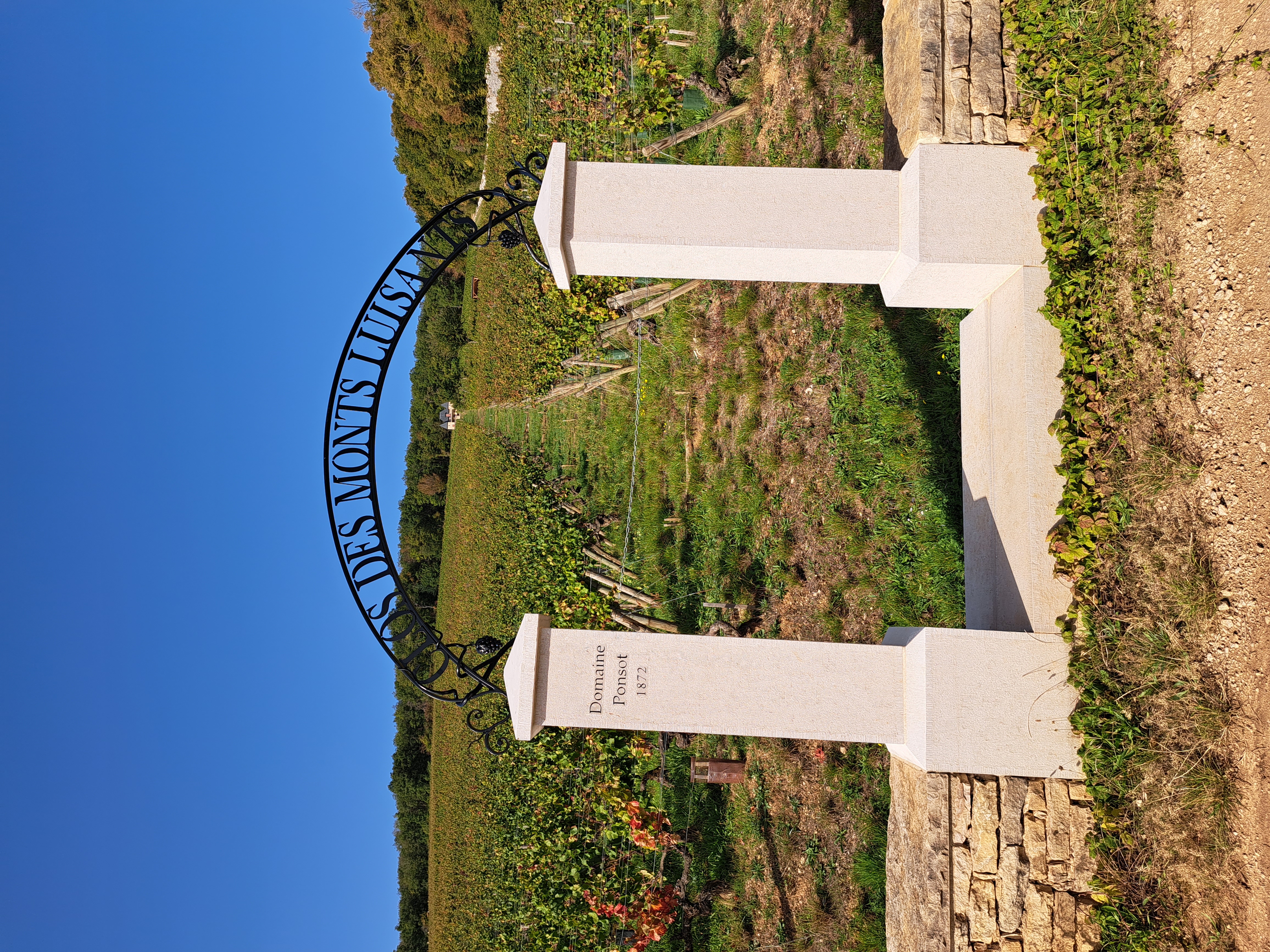 Premier Cru Monts Luisants